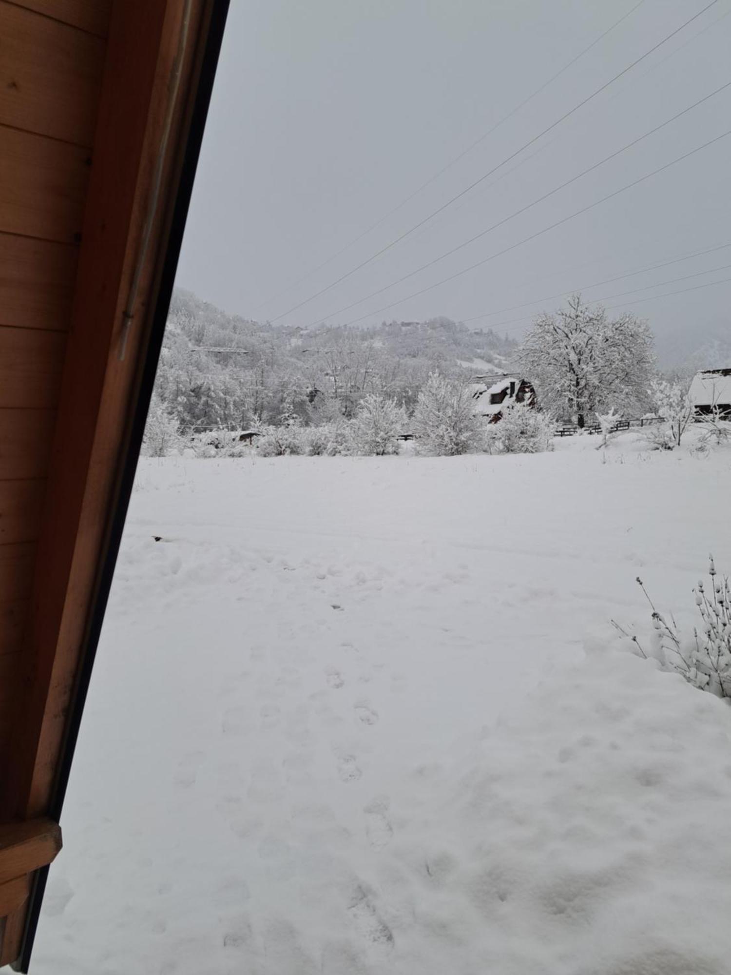 Holiday Home Ella Mokra Gora - Apartman Ella Eksteriør billede